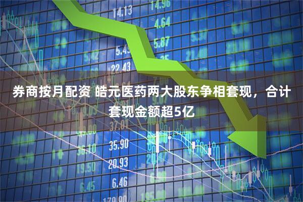 券商按月配资 皓元医药两大股东争相套现，合计套现金额超5亿
