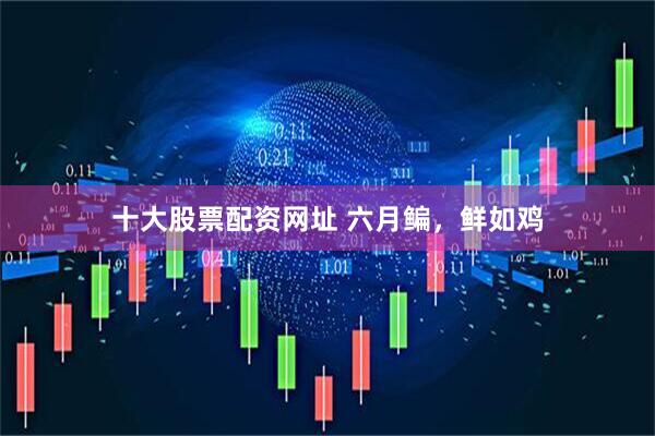 十大股票配资网址 六月鳊，鲜如鸡