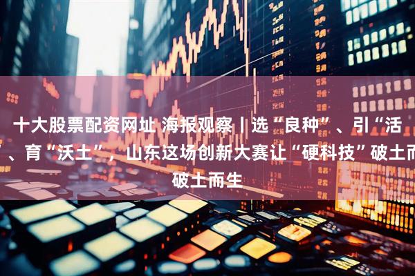 十大股票配资网址 海报观察丨选“良种”、引“活水”、育“沃土”，山东这场创新大赛让“硬科技”破土而生